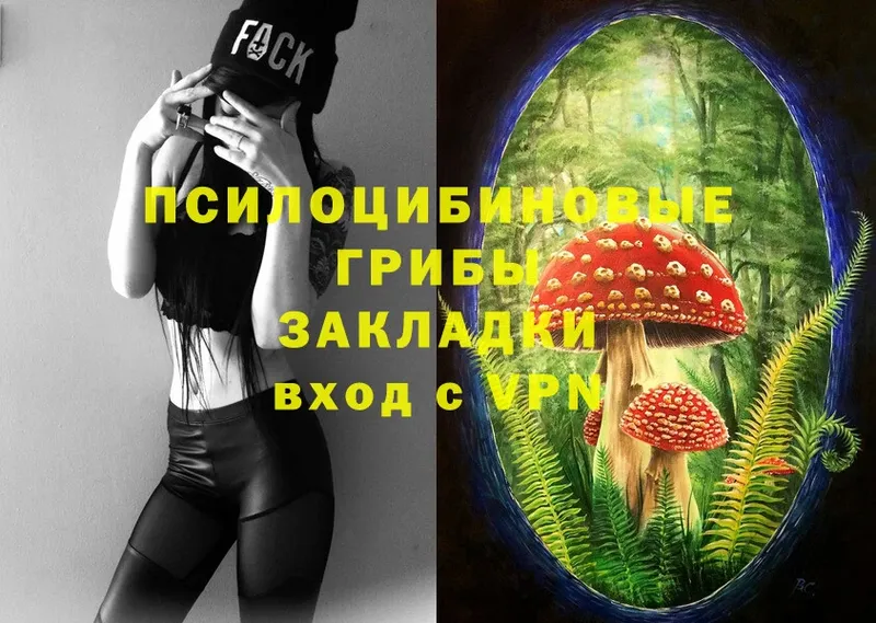 Псилоцибиновые грибы Psilocybine cubensis  купить   Лангепас 